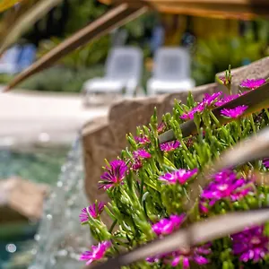 **** Aparthotel Bosco Canoro Italien